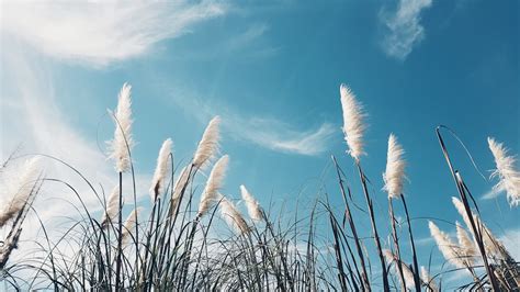 夢到玩水|夢到水：解讀潛意識的語言，水象徵著你的潛在力量 